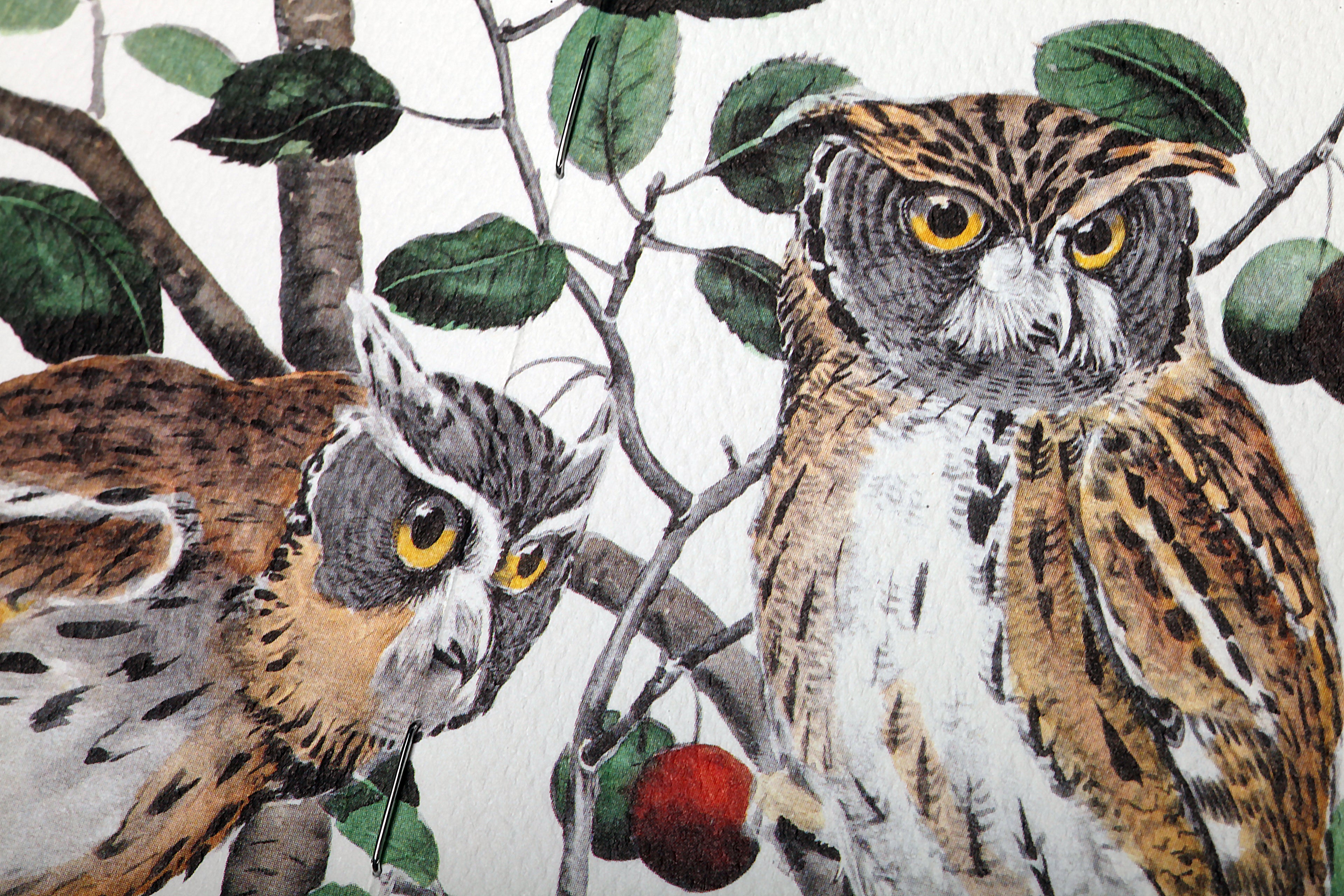 Birds and Trees of North America