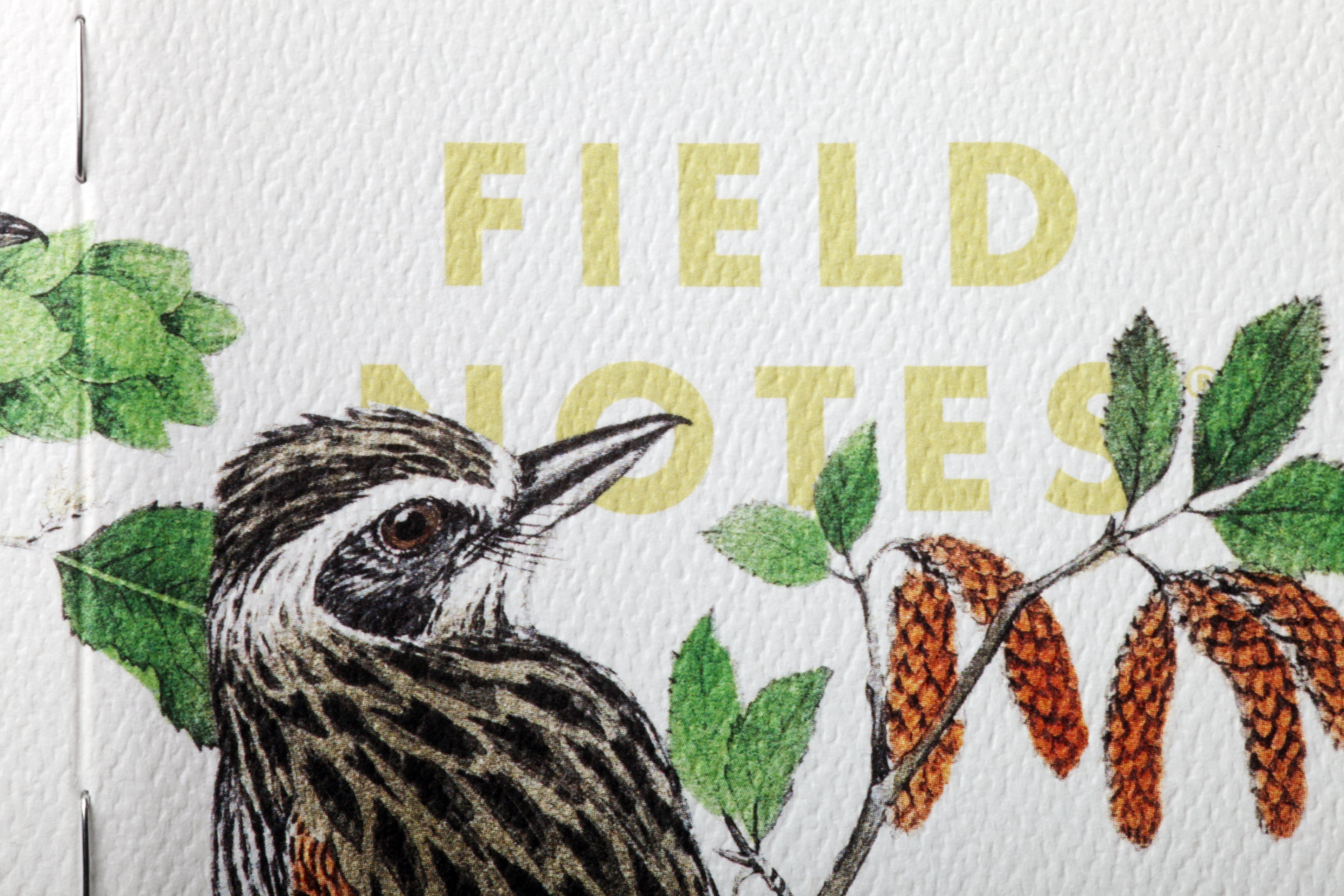 Birds and Trees of North America