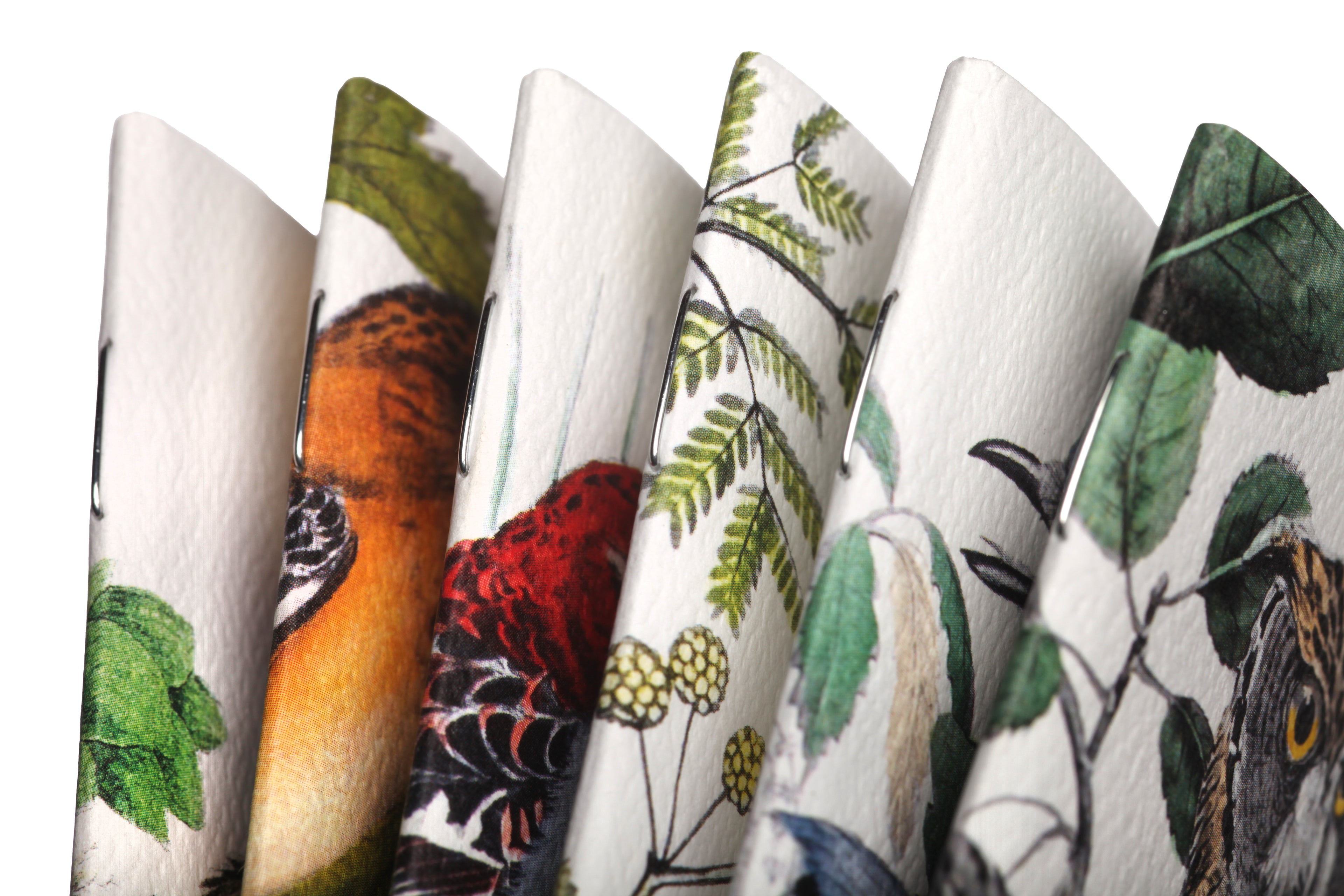 Birds and Trees of North America