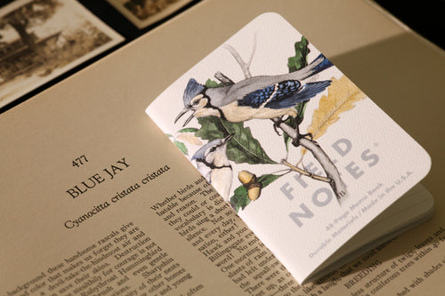 Birds and Trees of North America